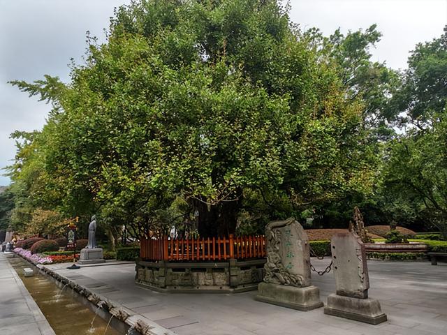 四川旅游：三访成都都江堰散记（图）