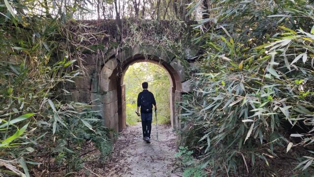 重庆北碚有座龙头山，山上有座400多年的明代老庙，叫“观音堂”