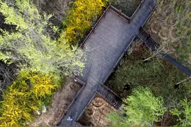 假期，走起！踏青、露营、赏花，在郑州过春天图片