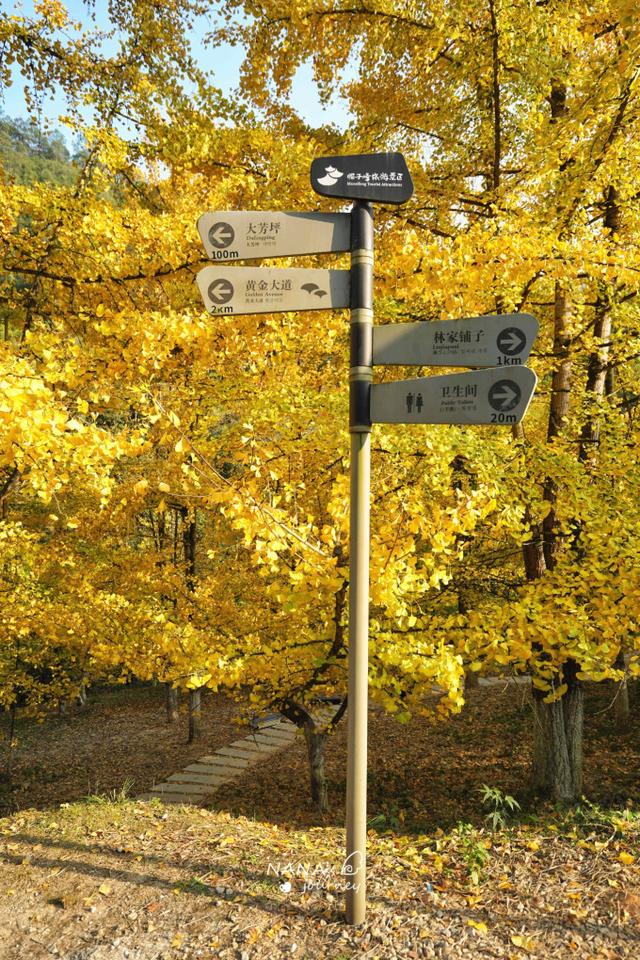 漫游韶关，赴一场山水间的秋日之约