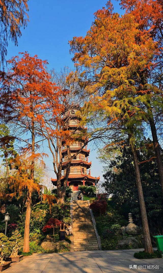 霜影下的城市绯霞