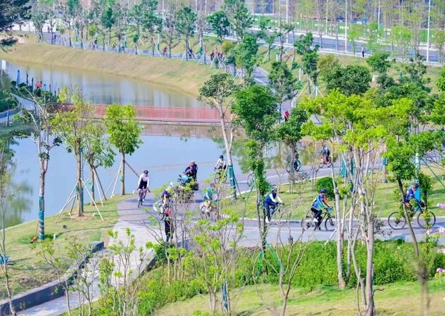 12月20日,欢乐开走!茂名徒步5条线路,你中意哪条?