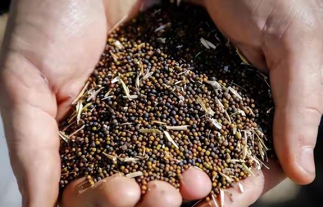 访华第三天	，卡尼情绪爆发，当着中方的面，说了一句掏心窝子的话