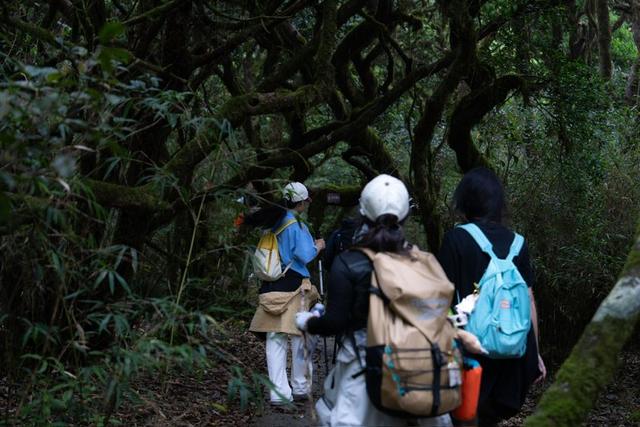 收藏这条宝藏路线！解锁桂林山水运动新玩法