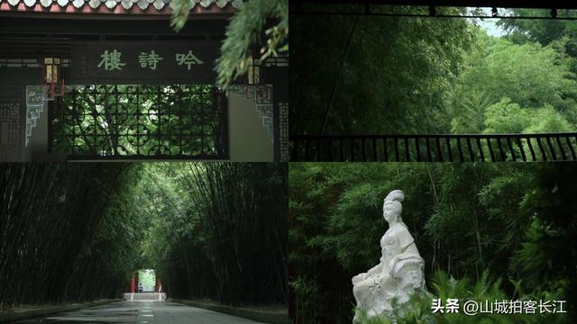 成都人口密度排首位的区，因一座祠堂而得名，夜市烟火气很浓！