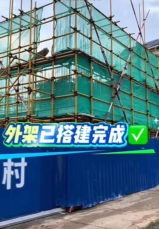 全红婵家房子，因为邻居家的树，可能要停工，全爸称要积极沟通