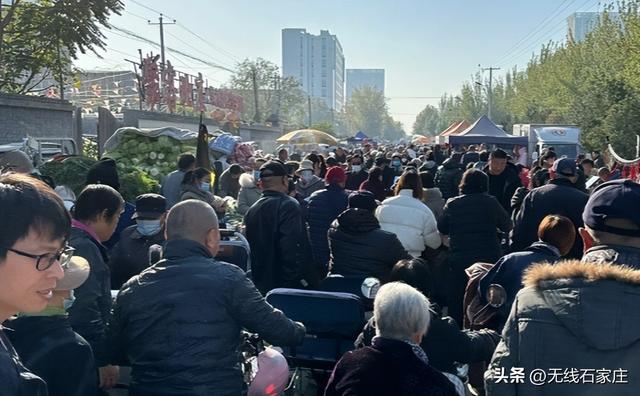 坐上公交赶大集！这份石家庄三大集市全攻略请收好！