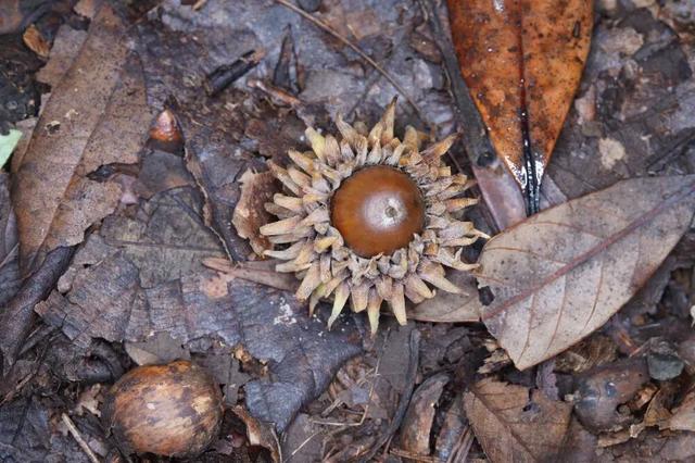 秋天不这样玩一遭，白来人间一整年