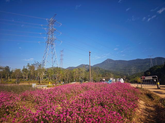 从丽康路穿荔园溪谷至西丽湖绿道骑行随拍