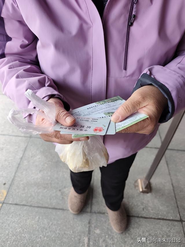 讲述我的写作故事43，《2025年开封赏菊记》。