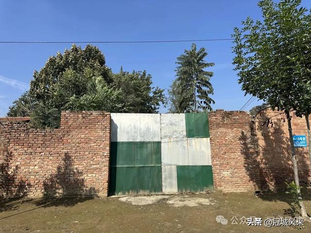 冠县乡韵·兰沃乡大柳邵村