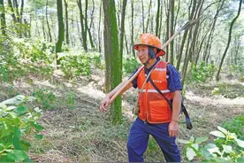 护林员李永康：坚守26载 守护一片绿图片