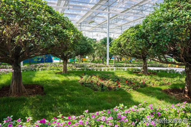 【乐游烟台】新晋遛娃地，烟台这家自然乐园超好玩