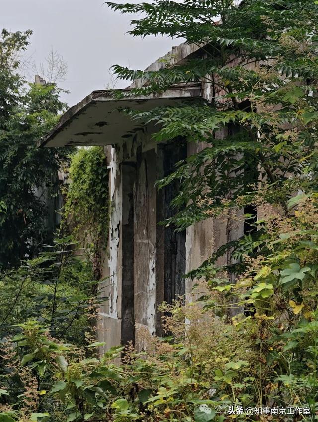 「转载」隐匿在南京老山的生化残城
