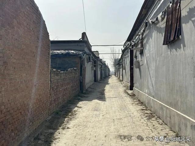 冠县乡韵·辛集镇饮马庄