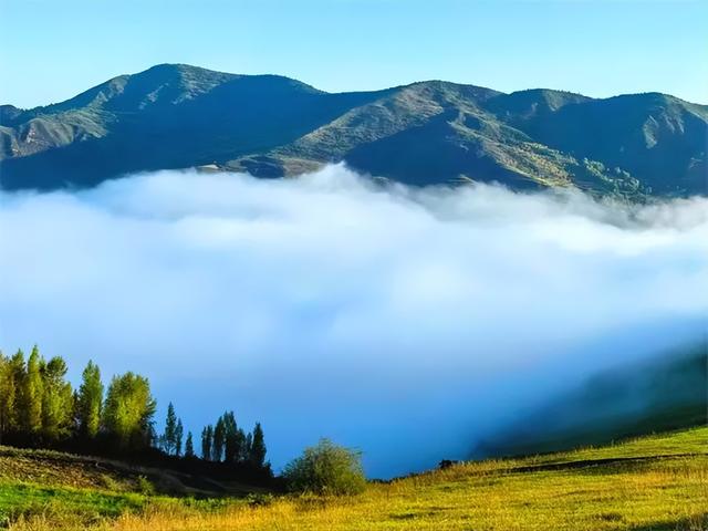 邂逅浪漫秘境 拥抱灵气氧吧