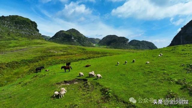 骑马、露营、看花海……这才是正确的打卡方式→