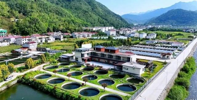 西安向南45分钟！小城撸熊猫、溯溪、看云、发呆，还藏了秦岭第一抹秋色