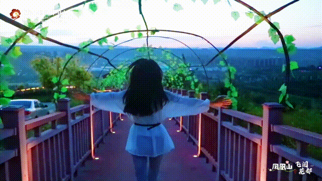 飞阅花都③丨初秋时节，邂逅凤凰山的斑斓盛景