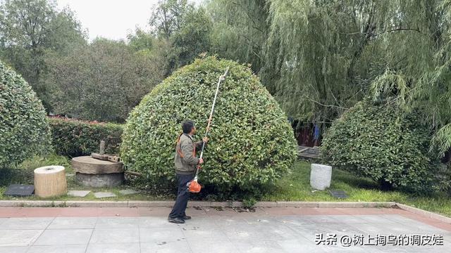 火神台全力备战第十届华商文化节！ 以匠心致盛会，静候宾朋！