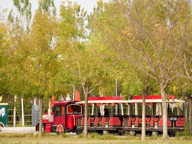 在顺义这些宝藏公园邂逅斑斓秋景——