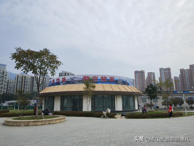泰安：泰山下一个街角公园火了，有百米粉黛花海，错过要再等一年
