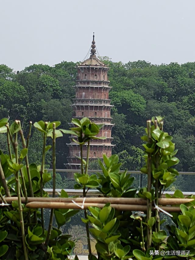 武汉十二月——一月一帧藏走过2025的四季光影