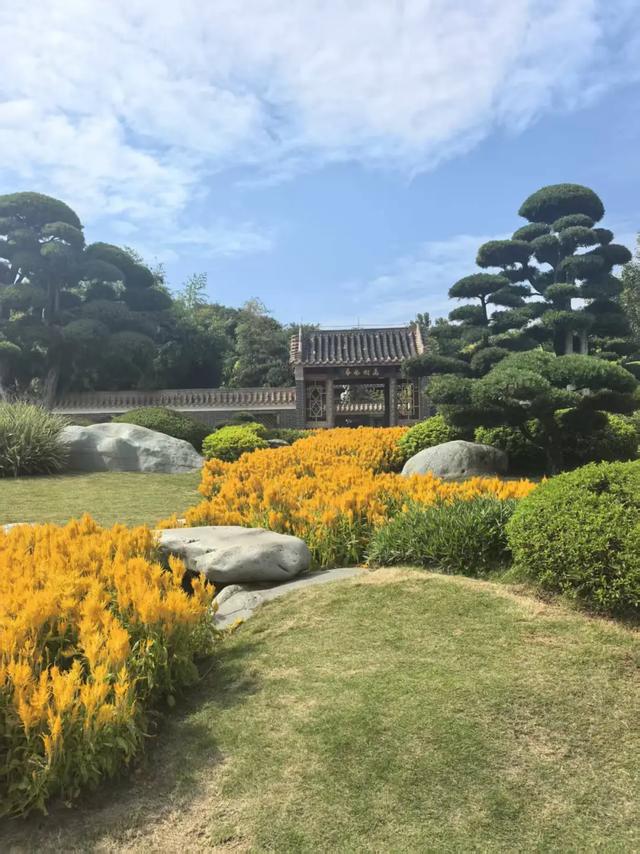 南宁园博园矿坑生态修复：从“生态疤痕”到城市绿洲