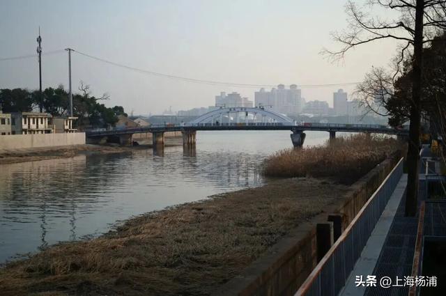 强推！这三条Citywalk路线带你畅游复兴岛和杨浦滨江