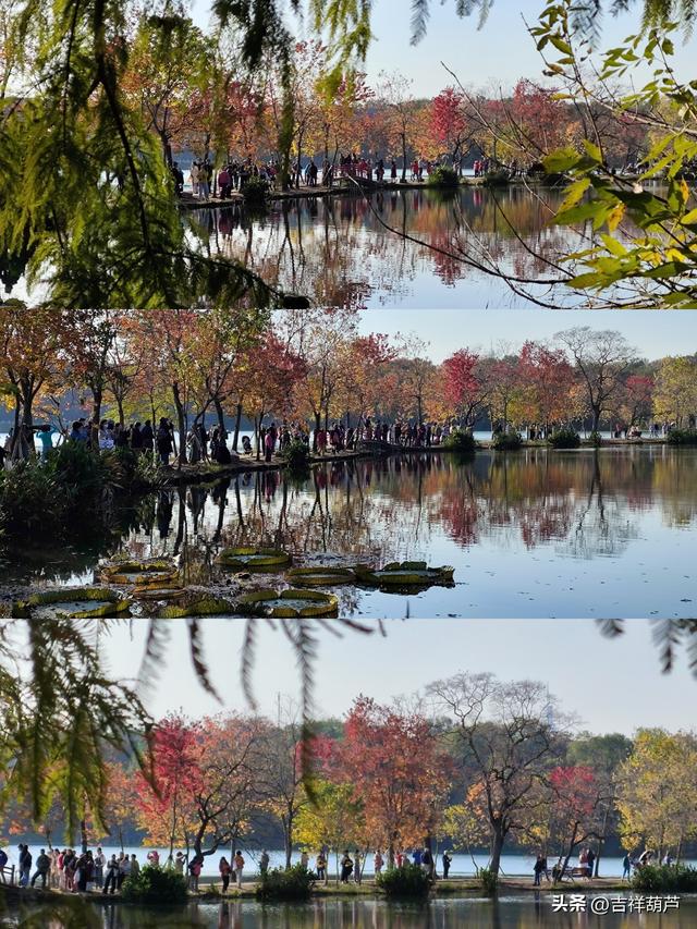 初冬‖钟山前湖月牙堤的日落，美的人移不开眼，停不下手拍摄！
