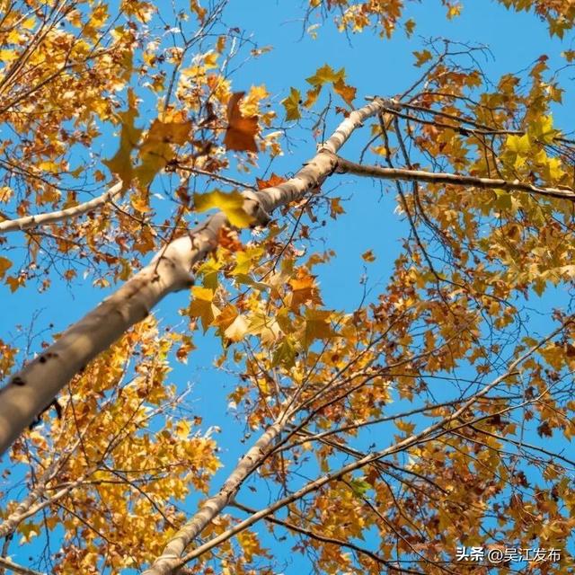 周末去打卡丨太好拍~东太湖绝美机位，“框框”出大片！