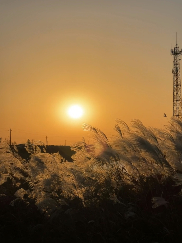 听说东营竟然“下雪”了？？？