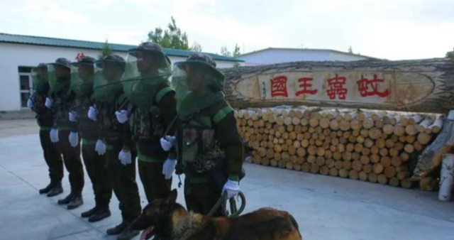 中国边境某段极具危险，已有7条军犬被咬死，士兵巡逻需全副武装