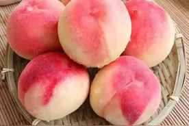 桃养人，杏伤人，李子树下抬死人，是什么意思？有道理吗图片