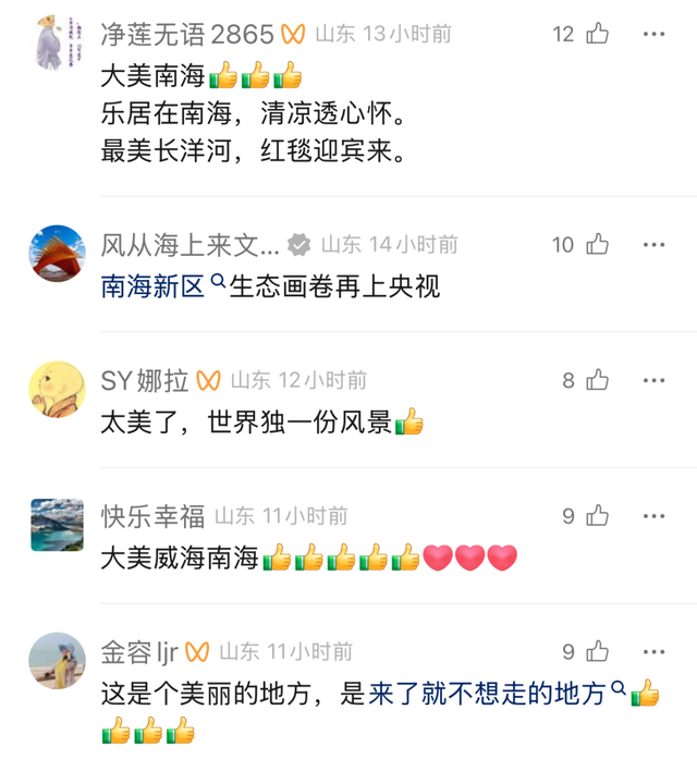 央视四平台连播！ 红滩盛夏铺锦绣 生态南海引客来