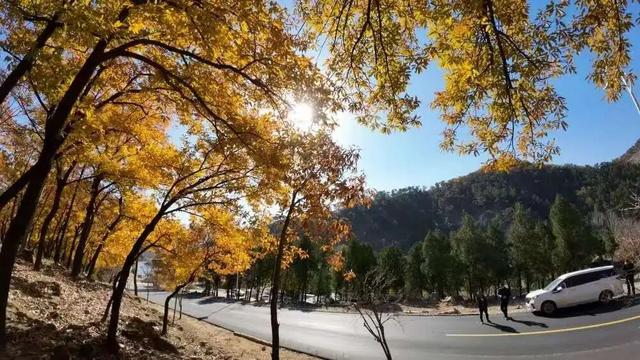 跟着色彩游临沂 | 斑斓秘境・山水写生之旅，解锁秋染沂蒙的N种美好