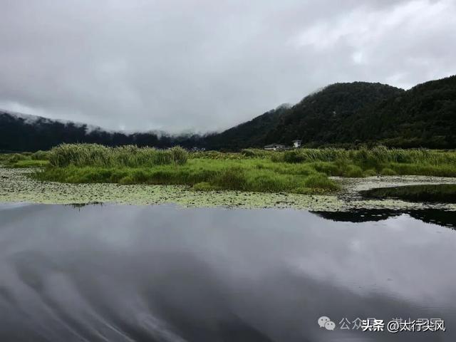 腾冲之肺---北海湿地