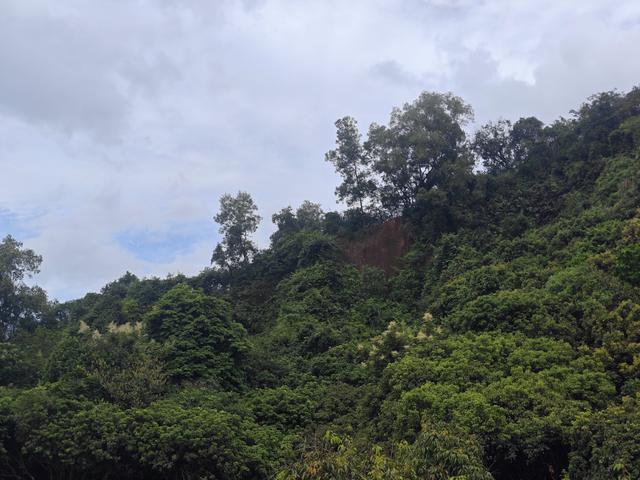 西丽湖国际科教城绿道高清随拍