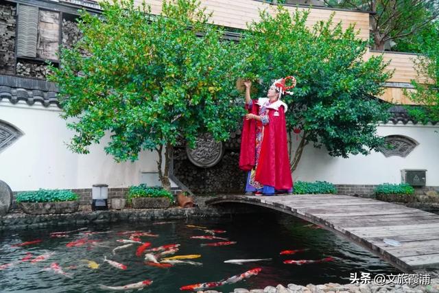 每日一村:霞坪村——荷香漫谷的畲乡秘境,诗画交织的夏日桃源