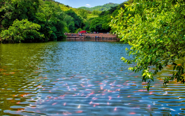 @黑吉蒙居民，千山携鞍山众景区免票特惠，速来get