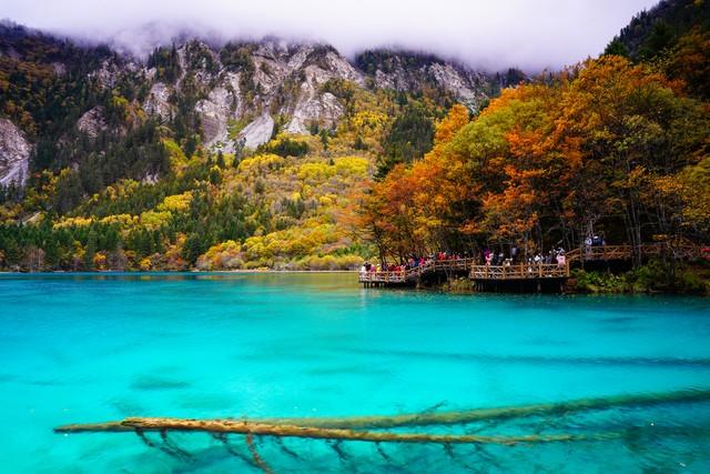 国内七大区域“第一景”分别是这7个，华东是黄山，西南是九寨沟