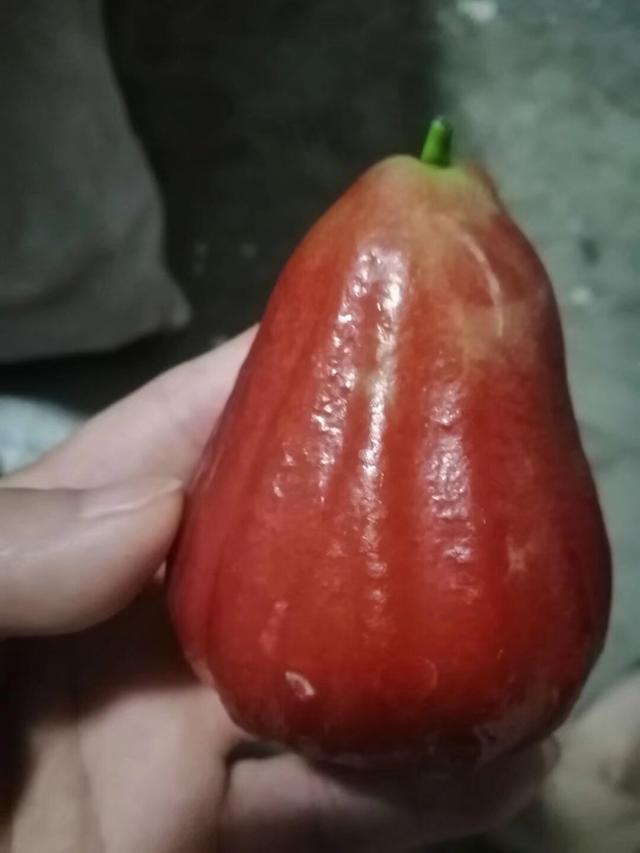 疫情下的海南初遇：被陌生美女的热情暖到泪目！