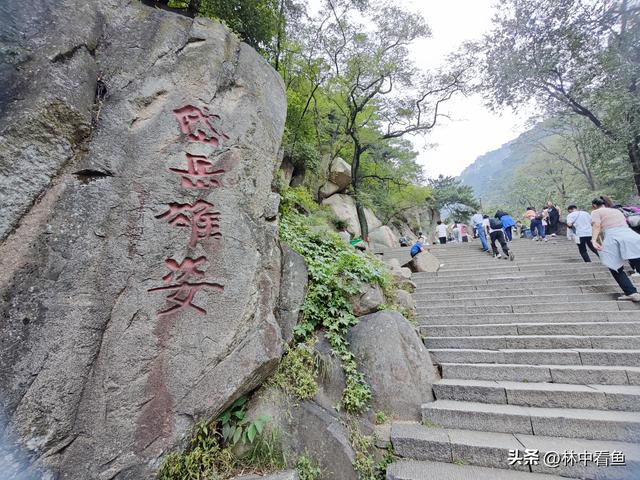 徒步登泰山之二——又是3小时，从中天门到南天门，不累！