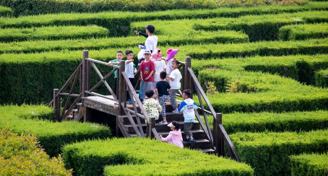 世界旅游日 | 世界那么大 大丰等你来🤗
