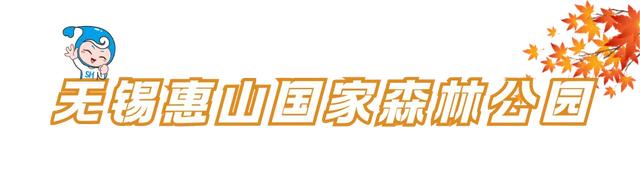 体荟四季｜秋日遛娃去哪？答案藏在这5座森林公园里