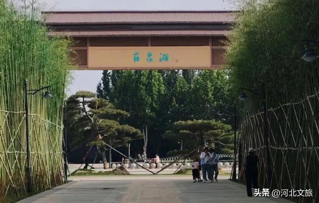 解读一街一河五湖十六泉|第五站：百泉湖