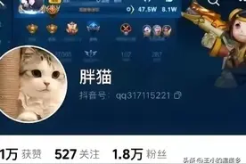 21岁胖猫重庆跳河后续：女友首次回应，大桥上摆满快餐，太可惜了图片