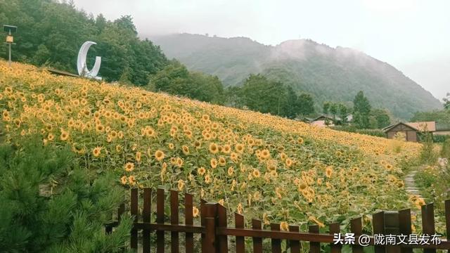 寨科桥游记