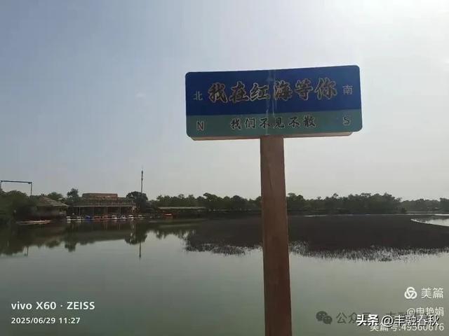 探秘新疆巴楚红海景区：自然与人文的交响｜ 申艳娟