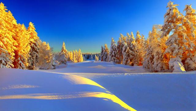 延边,你还有多少惊喜是我不知道的?